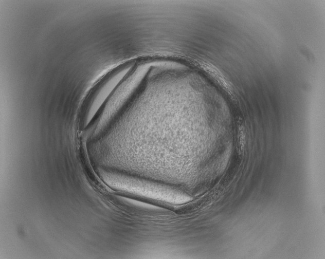 X0000115150680200911171241