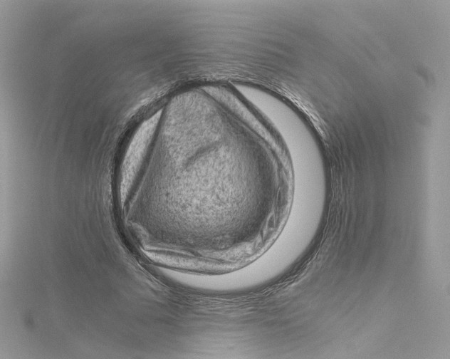 X0000115150681200911171241