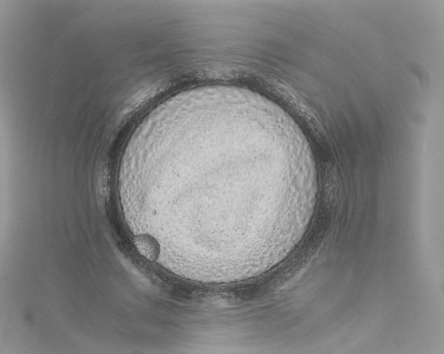 X0000115150683200911171241