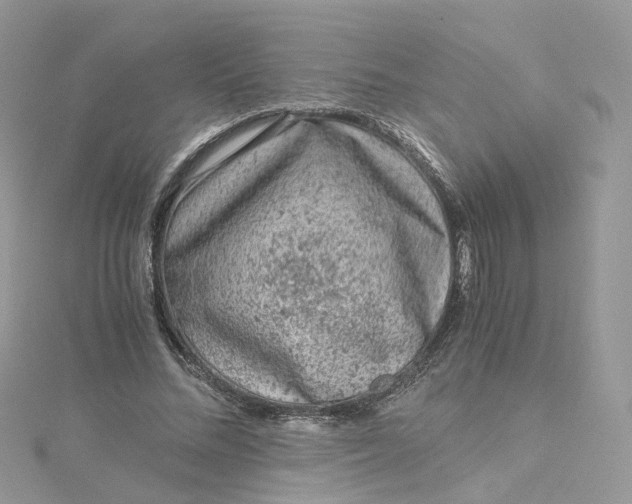 X0000115150684200911171241