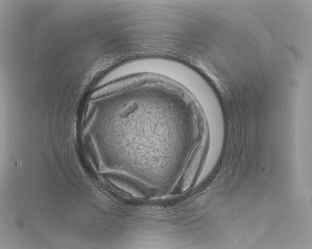 X0000115150685200911171241