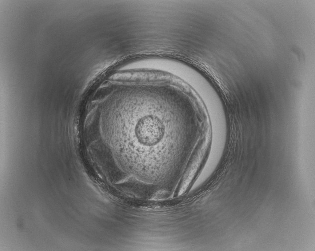 X0000115150688200911171241