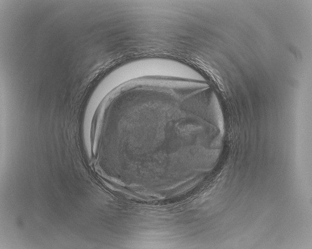 X0000115150689200911171241