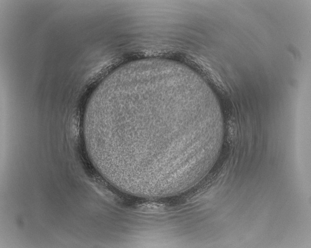 X0000115150691200911171241