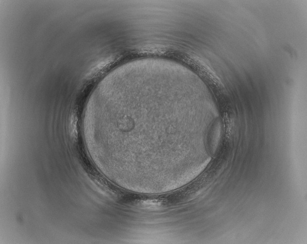 X0000115150692200911171241