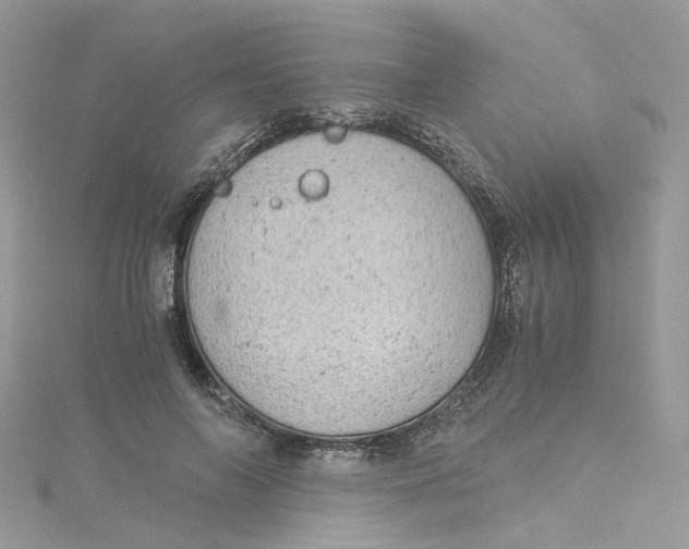 X0000115150694200911171241