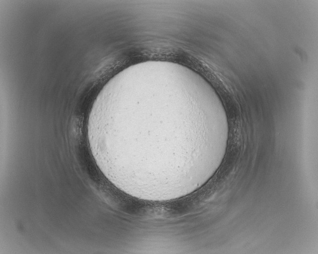 X0000115150695200911171241