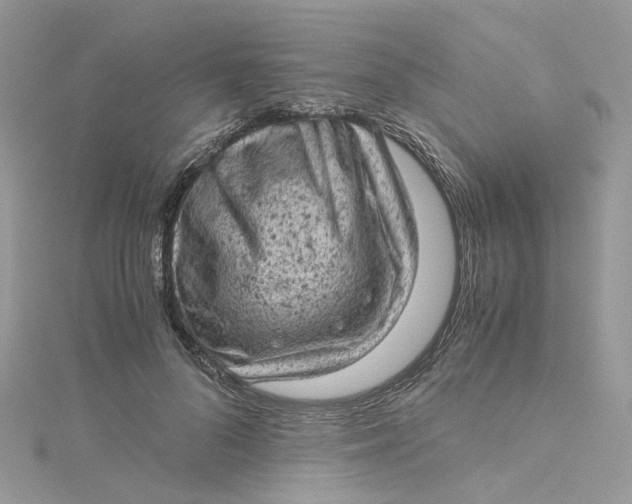 X0000115150696200911171241