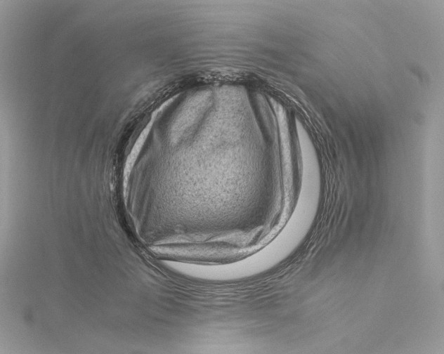 X0000115150701200911171241