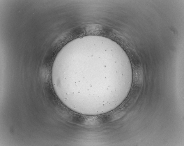 X0000115150705200911171241