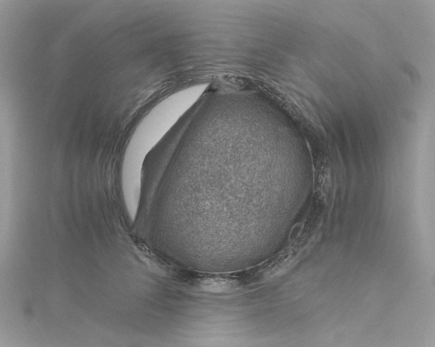 X0000115150708200911171241