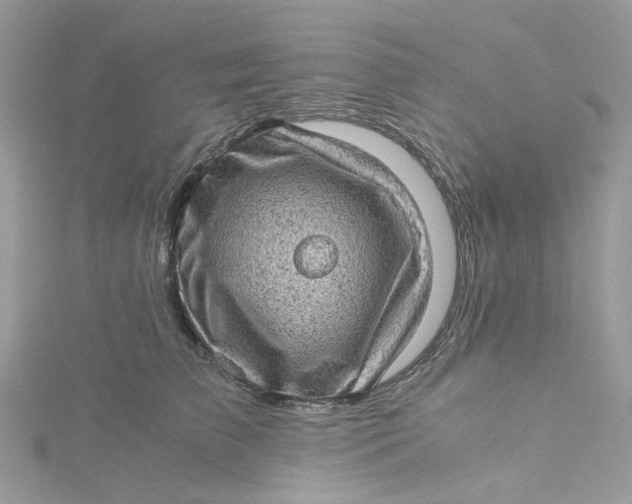 X0000115150709200911171241