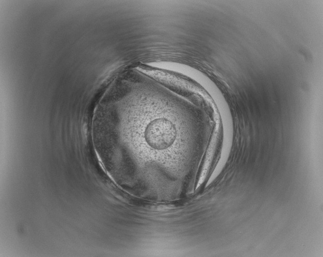 X0000115150716200911171241