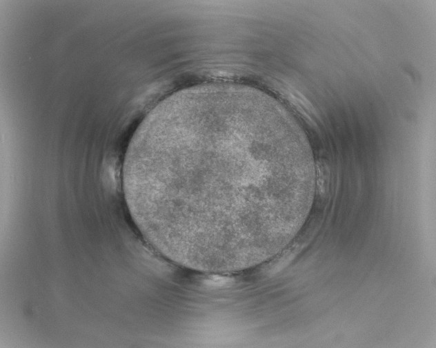 X0000115150718200911171241