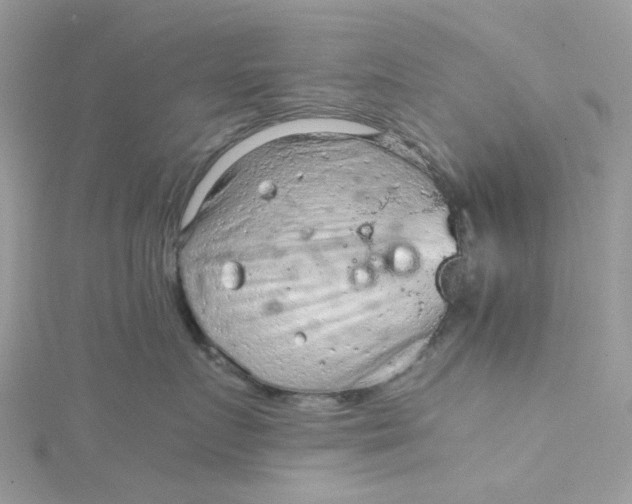 X0000115150719200911171241