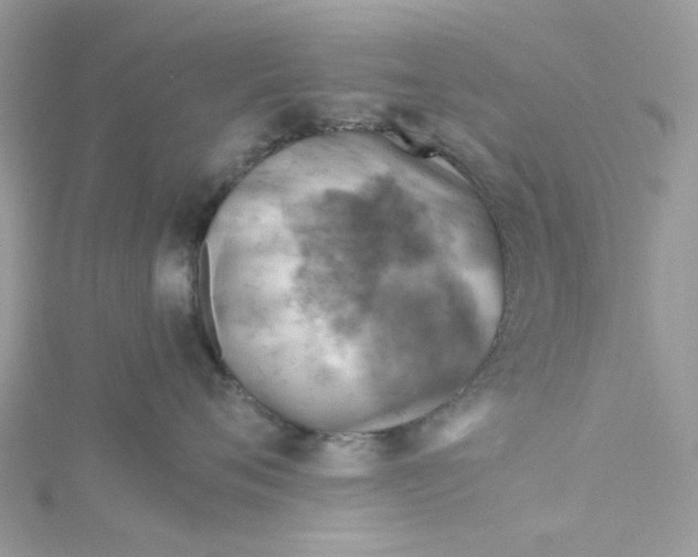 X0000115150720200911171241