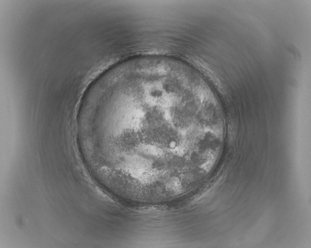 X0000115150721200911171240