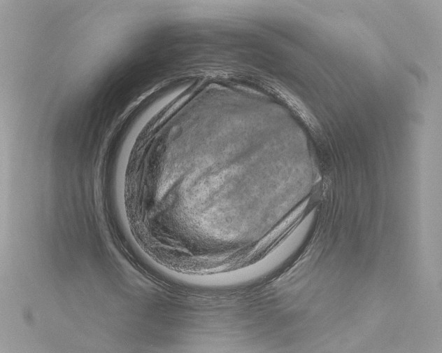 X0000115150722200911171240