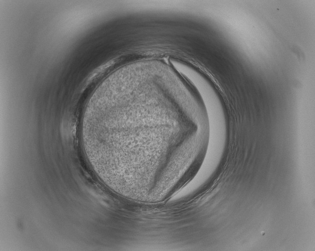 X0000115150723200911171240