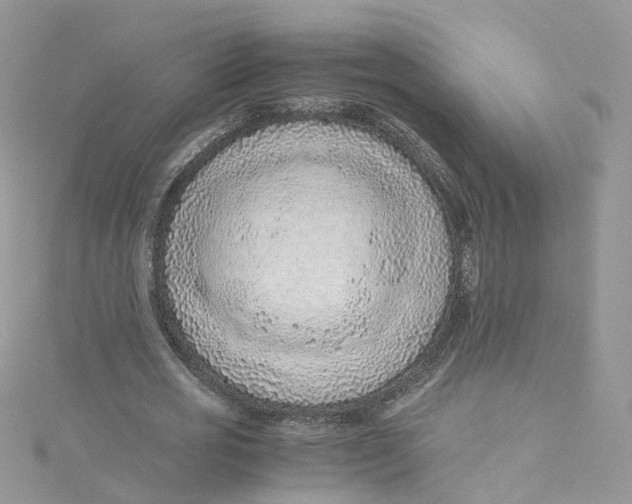 X0000115150725200911171240