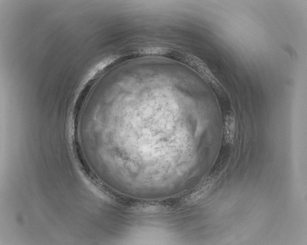 X0000115150726200911171240