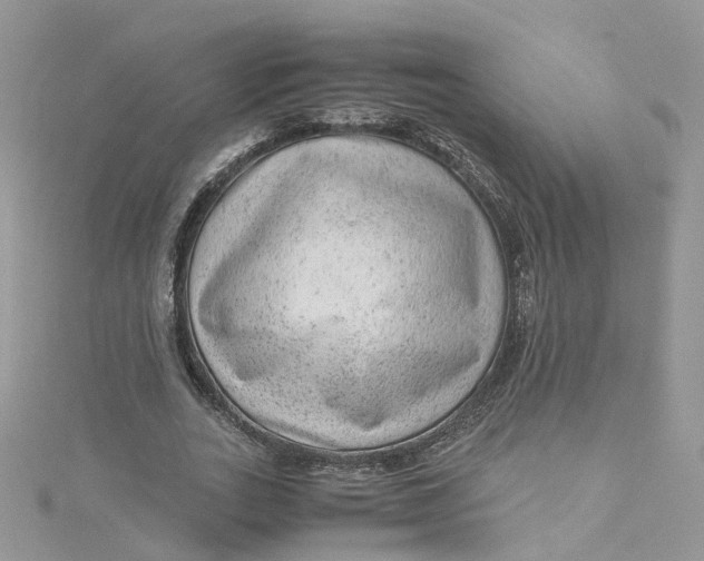 X0000115150727200911171240