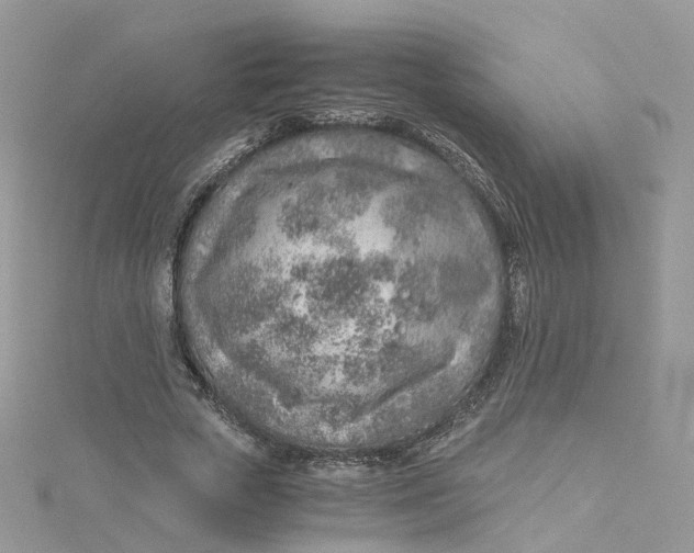 X0000115150729200911171240