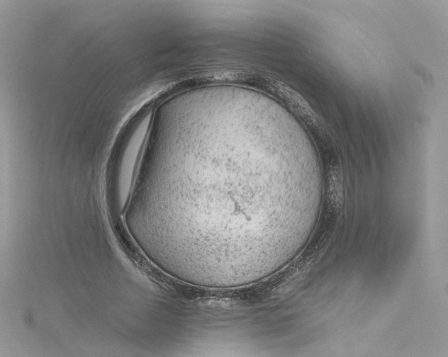 X0000115150730200911171240