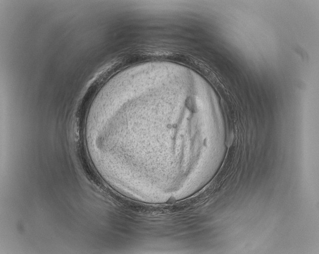 X0000115150731200911171240