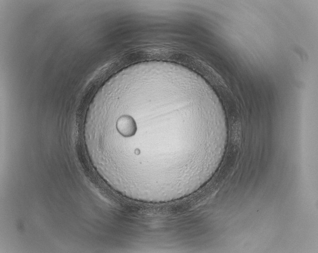 X0000115150733200911171240