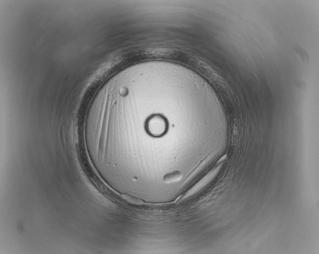 X0000115150734200911171240