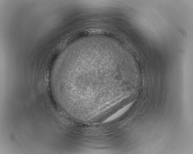 X0000115150737200911171240