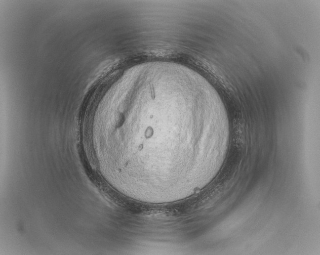 X0000115150738200911171240