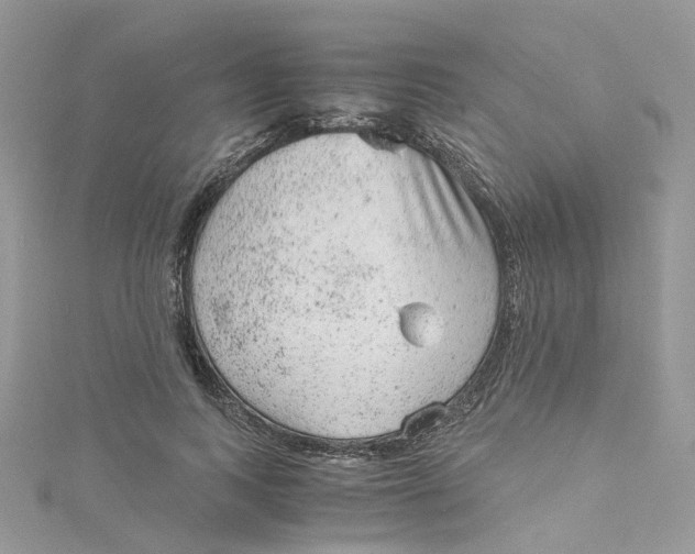 X0000115150743200911171240