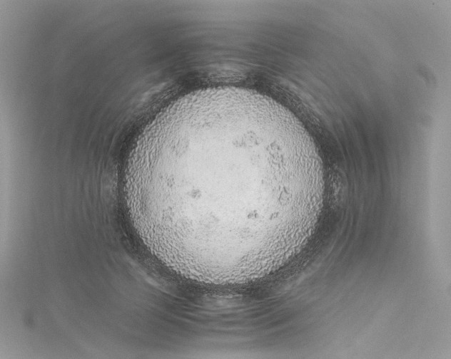 X0000115150745200911171240