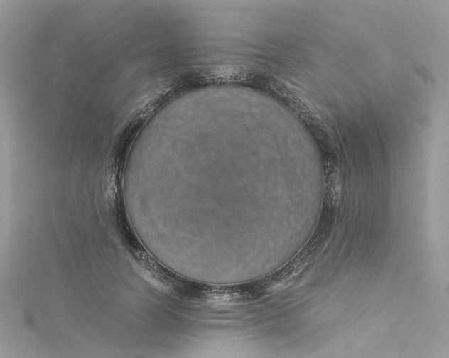 X0000115150746200911171240