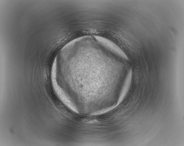 X0000115150747200911171240