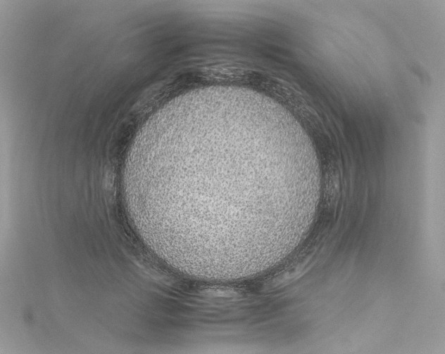 X0000115150749200911171240