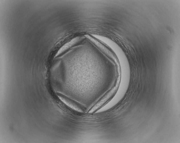 X0000115150750200911171241