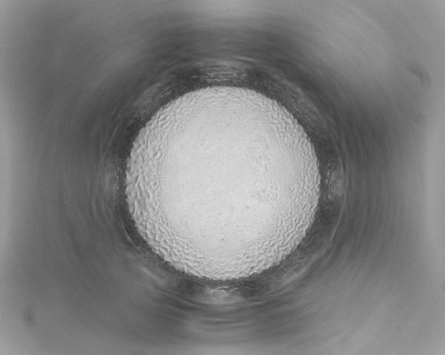 X0000115150753200911171241