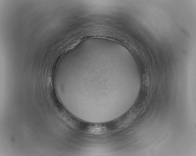 X0000115150754200911171241