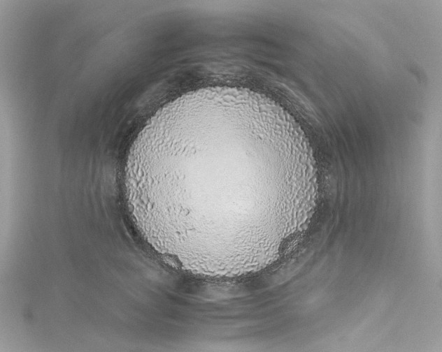 X0000115150757200911171241