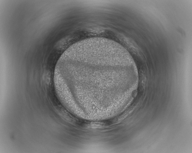 X0000115150758200911171241