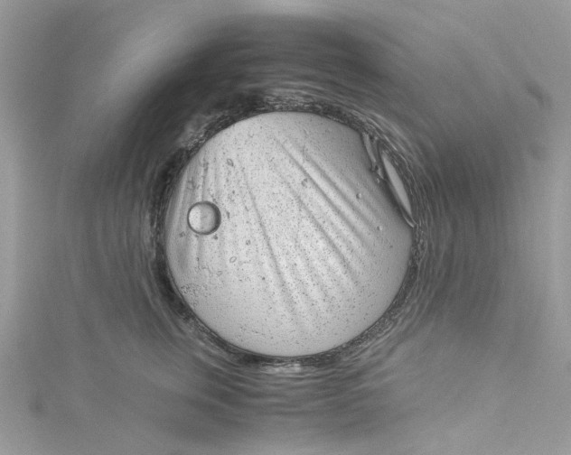 X0000115150759200911171241