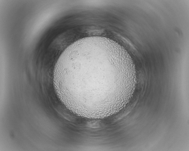 X0000115150761200911171241