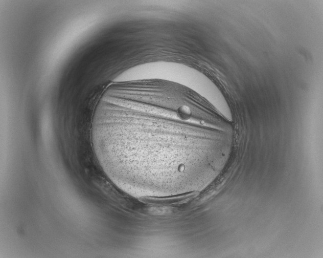 X0000115150762200911171241