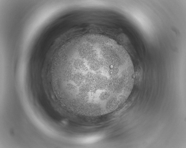 X0000115150765200911171241