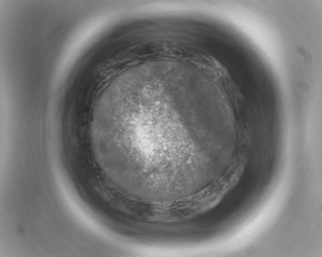 X0000115150766200911171241