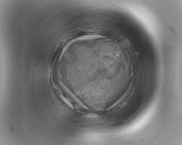 X0000115150767200911171241