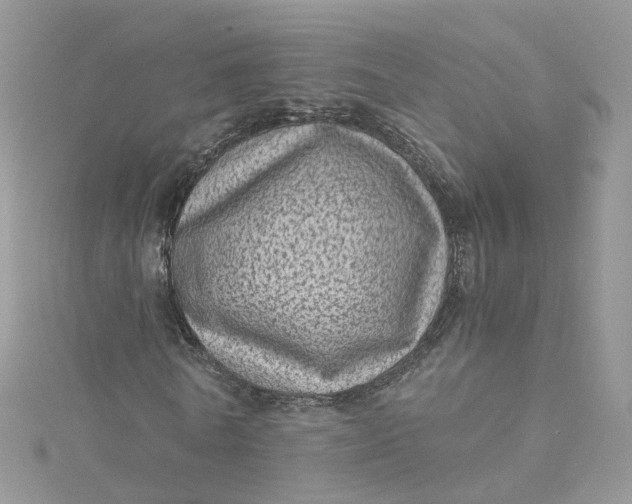 X0000115150770200911171240